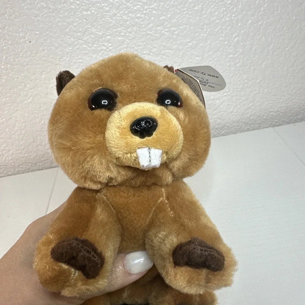 Ty Original Beanies Richie (Beaver) 6